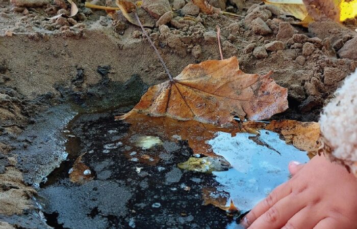 Szarvas Melinda: MARGÓTÓL MARGÓIG ÍRT LÍRA (Bíró Tímea: Moldva)